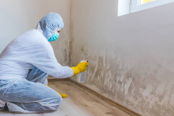 Licensed Mold Remediation service in Pembroke, VA - 24 Hour Mold Removal