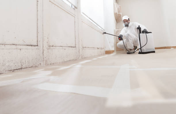 24/7 Emergency Mold Remediation experts in Pembroke, VA