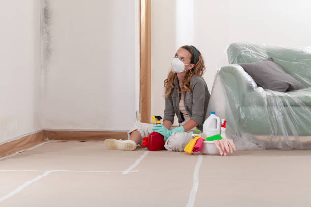 Reliable Mold Remediation contractor in Pembroke, VA by 24 Hour Mold Removal